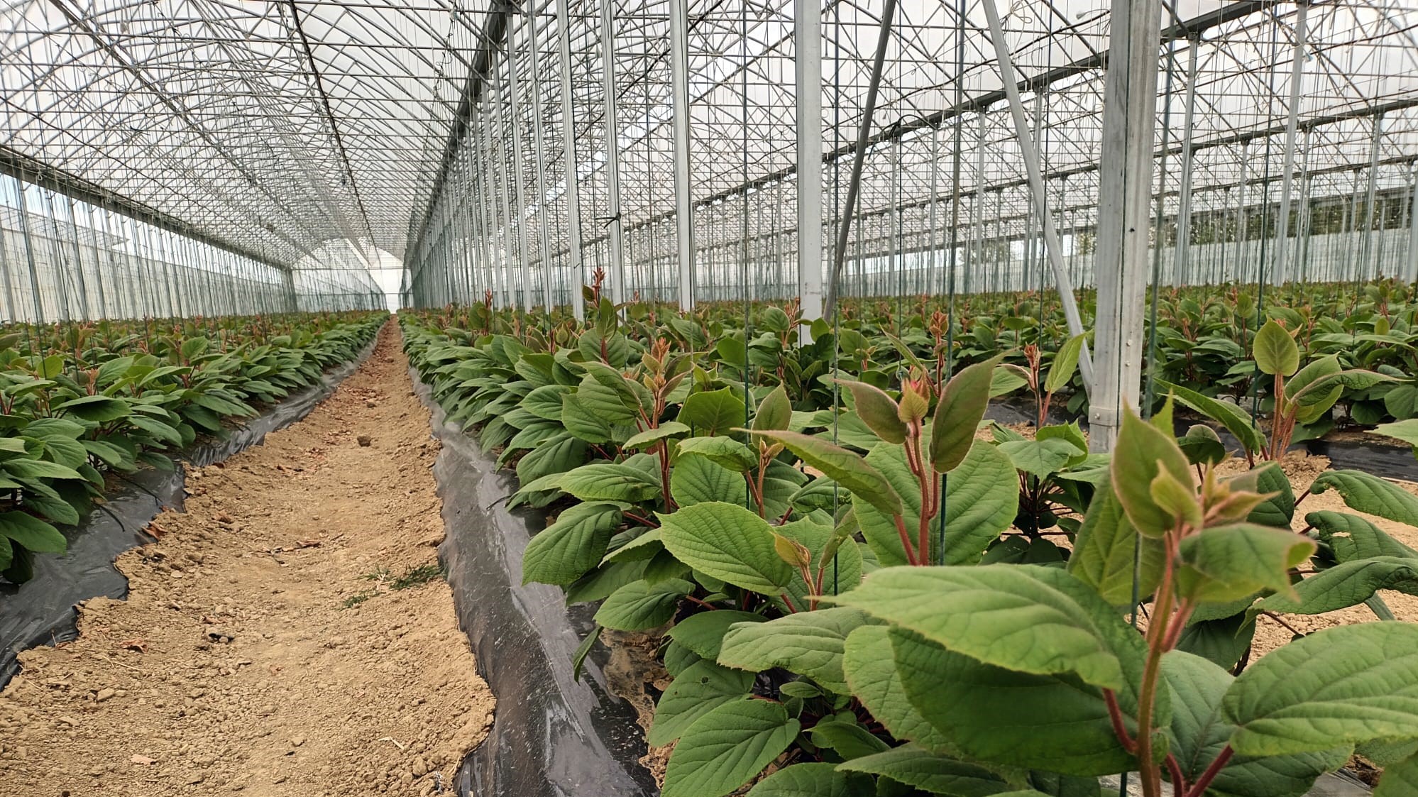 Vivero La Quercia|Vivero La Quercia|Vivero La Quercia